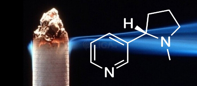 E-cigarette : La nicotine ne rendrait pas dépendant ! E-cigarette : La nicotine ne rendrait pas dépendant !
